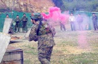 国产树林野战在线播放,热血激战,在线热血沸腾